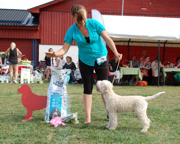 BIS-valp i Köping 2013!!