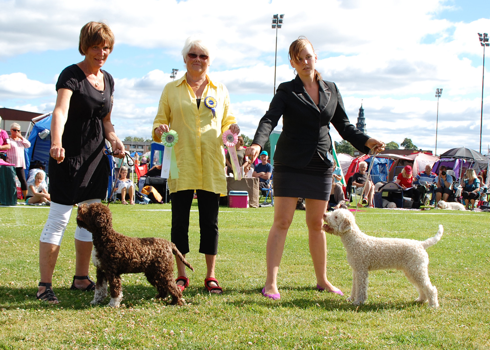 BIR/BIS & BIM på Radunon 2013!