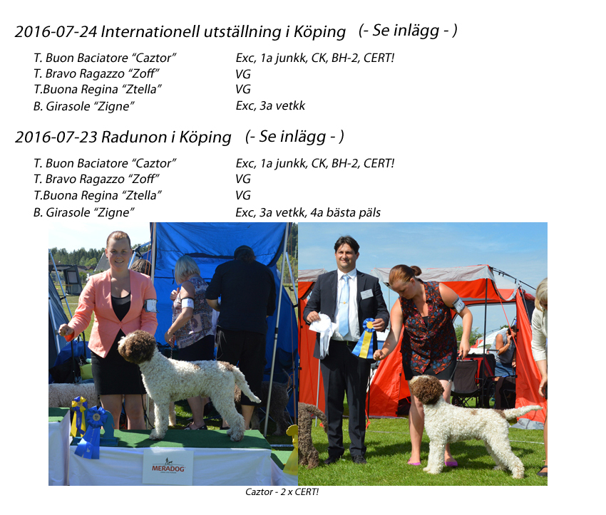 resultat2
