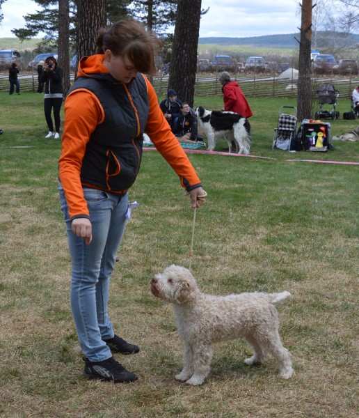 Nixon framför domaren