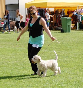 Träning innan starten