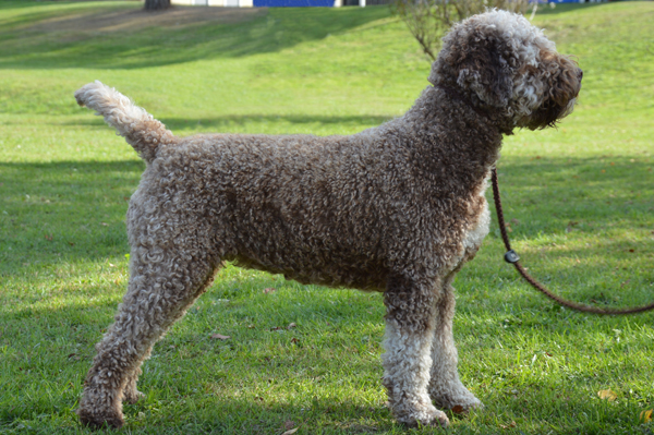 Aila 21 months aila-21months